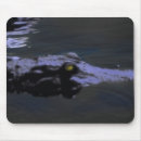 Search for gators electronics Funny