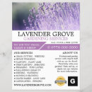 Search for purple flyers Garden centre