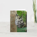 Search for rice paper cards Butterfly