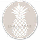 Search for big pineapple stickers Tropical