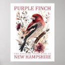 Search for finch posters Watercolor