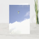 Search for kite Photography