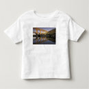 Search for historic image tshirts Aqueduct