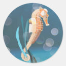 Search for seahorses stickers Orange seahorse