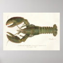 Search for lithograph posters Drawing
