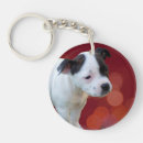 Search for staffy key rings Staffordshire