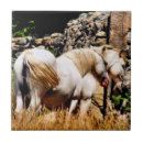 Search for equines tiles Ponies