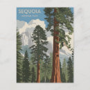 Search for sherman postcards Sequoia national park