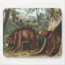 Search for ursus mousepads Wildlife