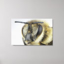 Search for compound posters Insect
