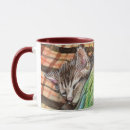 Search for nap mugs Pet