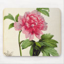 Search for redoute mousepads Botany