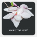 Search for magnolia tree stickers Flower