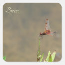 Search for dragonfly wings stickers Insect