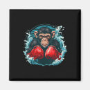 Search for session magnets Combat sparring session