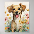 Search for dachshund gifts For pets
