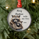 Search for racoons christmas tree decorations Animal