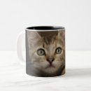 Search for tabby kitten mugs Cute