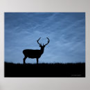 Search for silhouete posters Nature