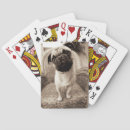Search for pug playing cards Dogs