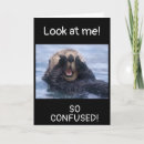 Search for forgetful cards For him