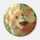 Search for stuffed animals magnets Nature
