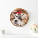 Search for shihtzu art Cute
