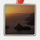 Search for big sur christmas tree decorations Nature