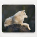 Search for arctic mousepads Wild