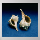 Search for artefacts posters Collection