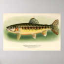Search for vintage fly fishing art Angling