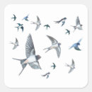 Search for swallow bird stickers Animal