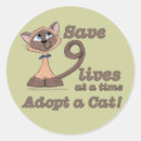 Search for nine lives stickers Kittens