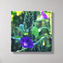 Search for weeding photography Floral