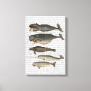 Search for five canvas prints Flower leaves