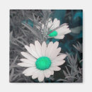 Search for green daisy magnets Nature