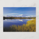 Search for denali alaska postcards Scenic