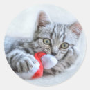 Search for grey tabby cat stickers Animal