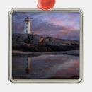 Search for landforms christmas tree decorations Coast