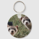 Search for ferret key rings Cute