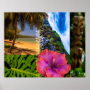 Search for beach collage posters Tropical