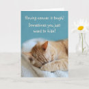 Search for cancer get well cards Cat