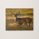 Search for for adults puzzles Wildlife