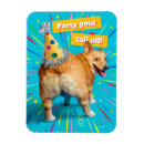 Search for butt magnets Corgi