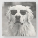 Search for funny dog coasters Pet