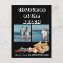 Search for palm tree seasonal cards Photo collage