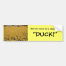 Search for wizard bumper stickers Humour