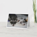 Search for weasels cards Pet
