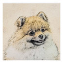 Search for pomeranian art Puppy