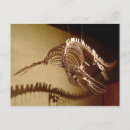 Search for natural history museum postcards Dinosaur